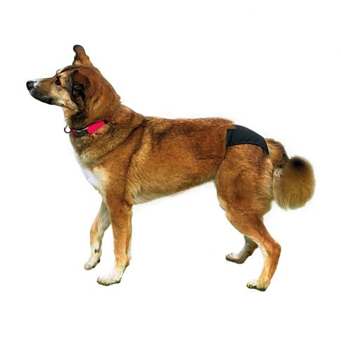Protective- Pants Washable for Dogs