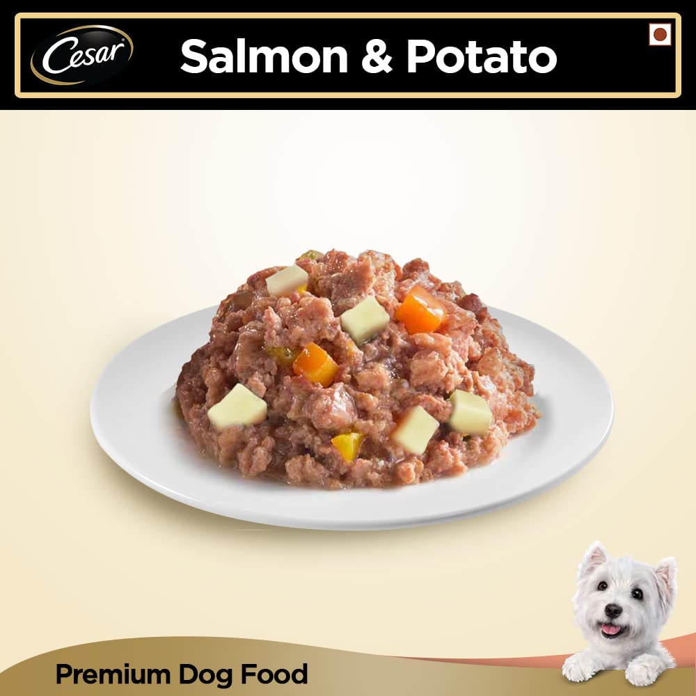 Cesar- Salmon Dog Wet Food Potato Tray