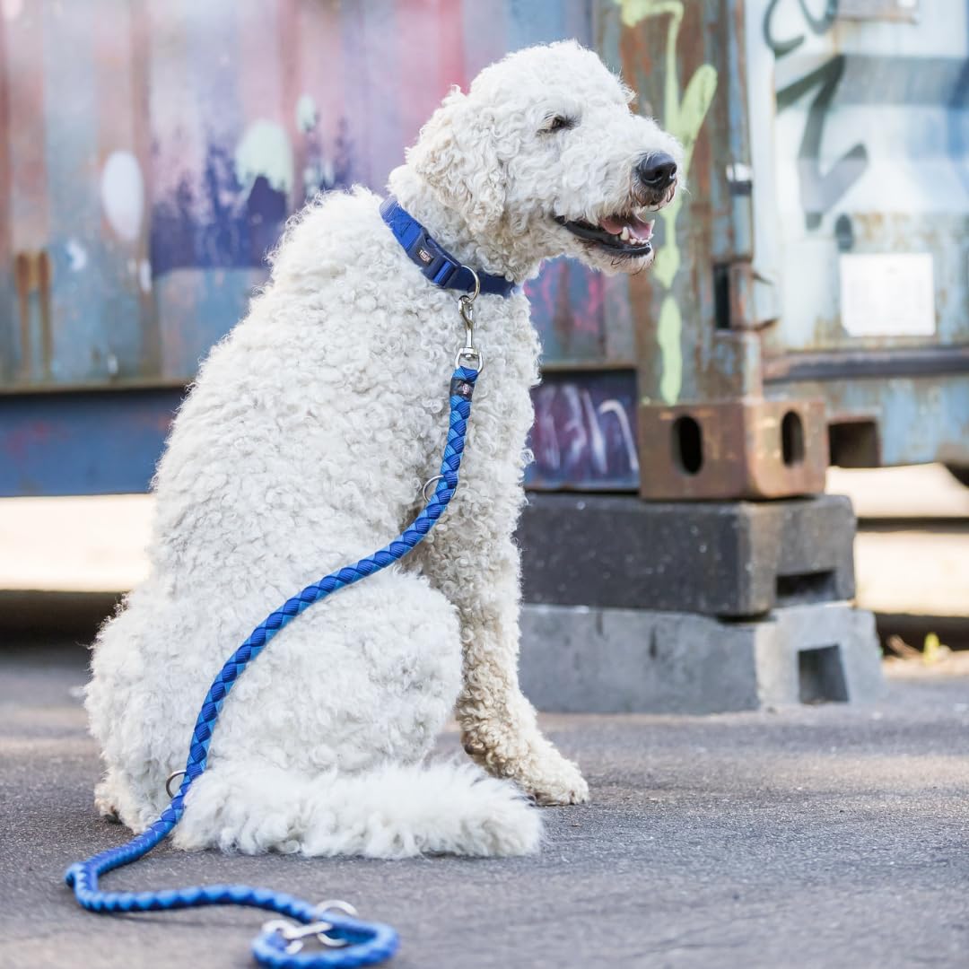Trixie - Cavo Adjustable Leash for Dogs (Indigo/Royal Blue)