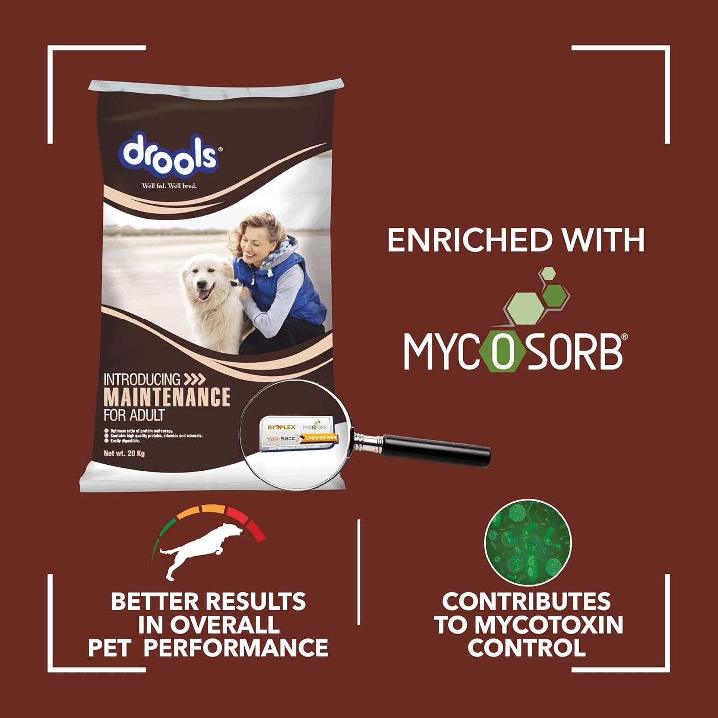Drools - Maintenance Adult Dry Dog Food