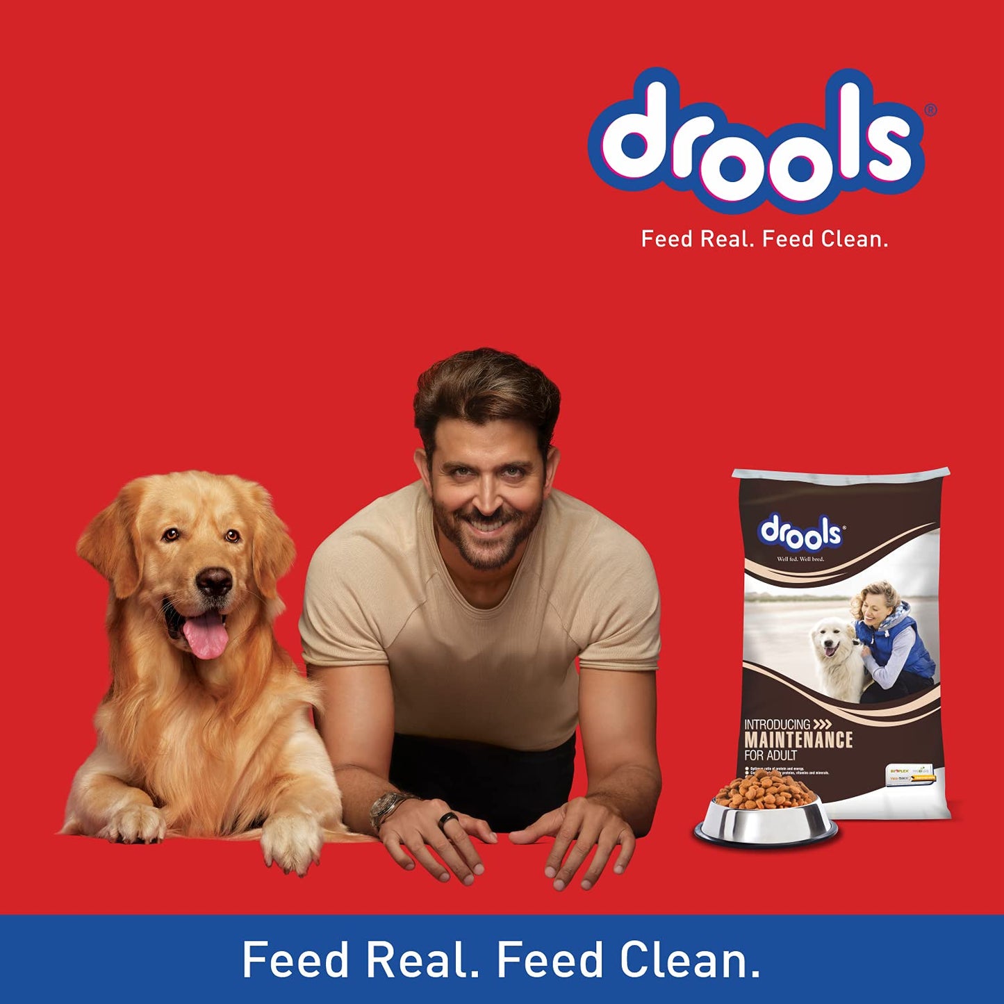 Drools - Maintenance Adult Dry Dog Food
