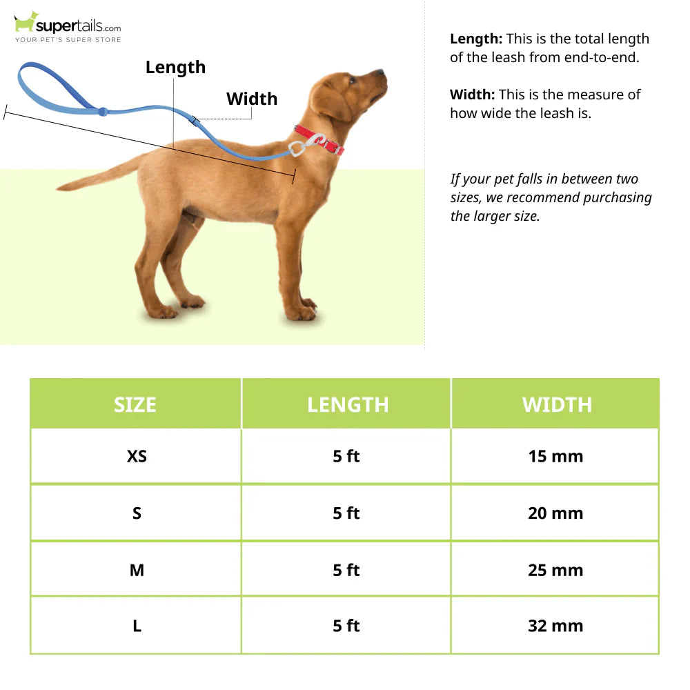 Glucklich - Dog Leash Nylon