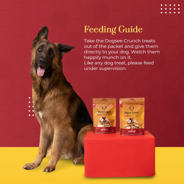 Dogsee- Crunch Dried Dog Treats