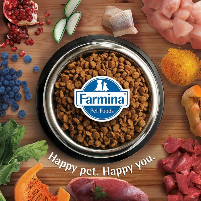 Farmina-Team Breeder Adult Top Chicken Grain Free Dry Dog Food
