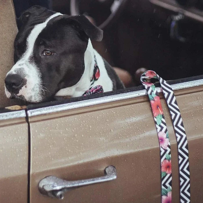 Zee Dog-Mahalo Leash