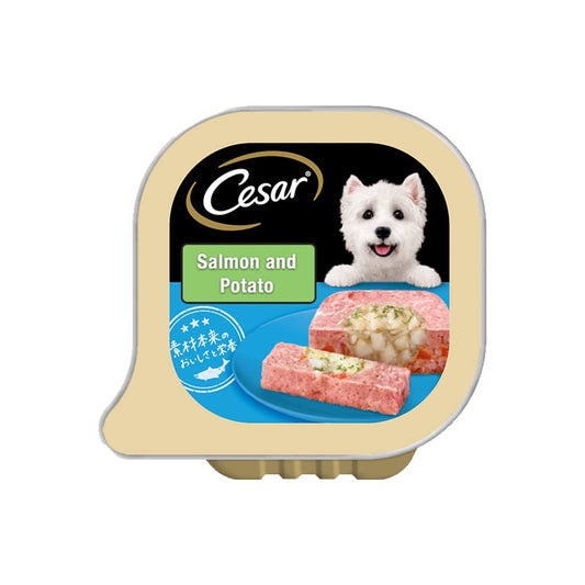 Cesar- Salmon Dog Wet Food Potato Tray