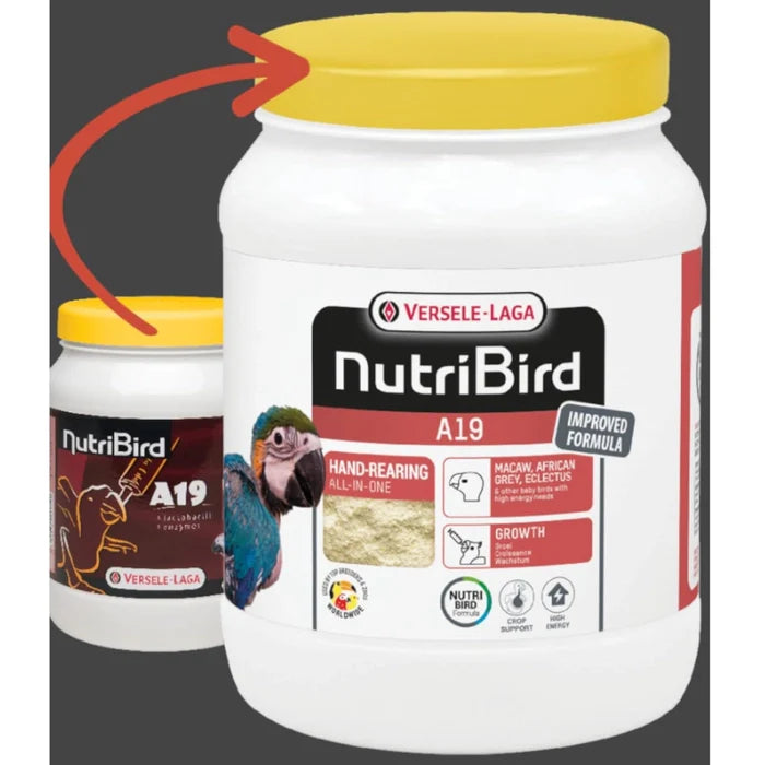 Versele Laga- Nutribird Hand Feeding Food