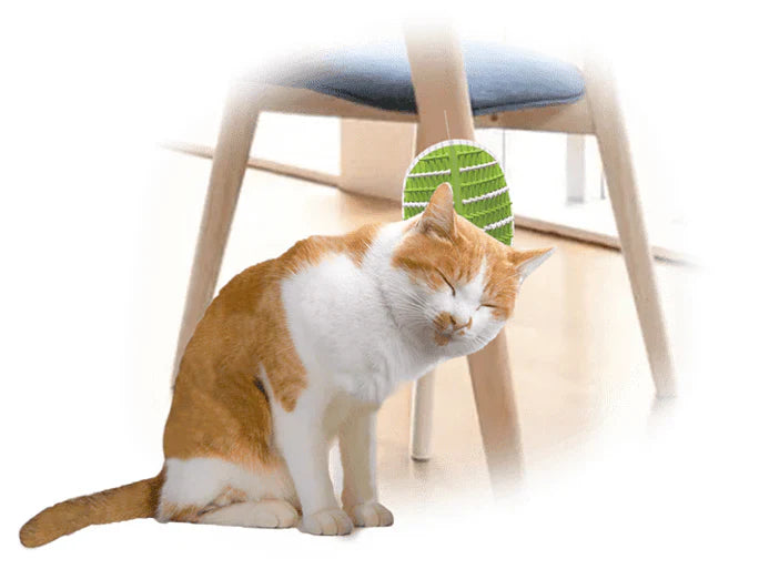 AFP- Lifestyle 4 Pet-2 In 1 Groomer