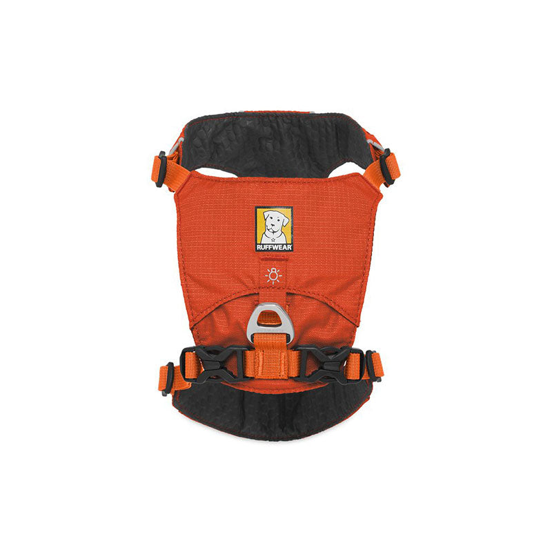 Ruffwear - Hi&light Harness for Dogs