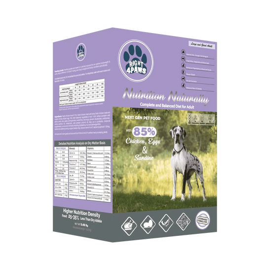 Right4paws – Large & Giant Breeds Dry Food (Adult)