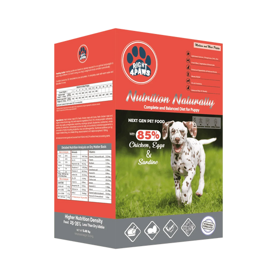 Right4paws - Medium & Maxi Breeds Dry Food for (Puppis)