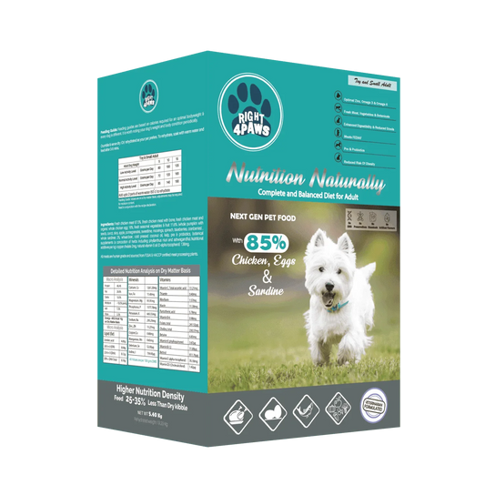 Right4paws - Toy & Small Breed Diet for Adult Dogs