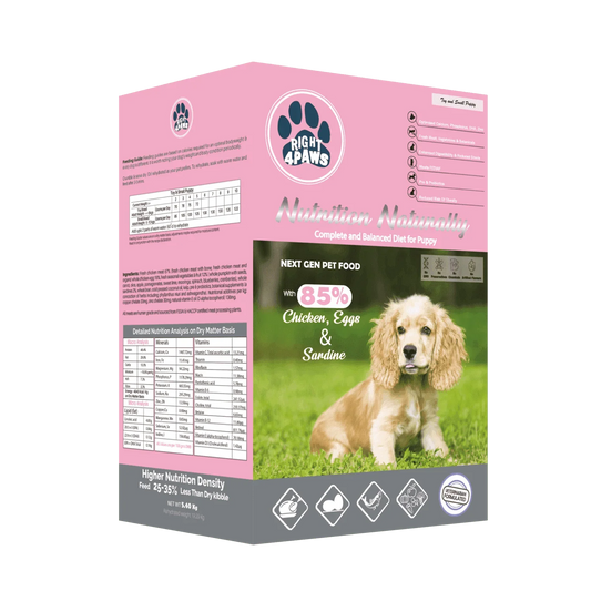 Right4paws - Toy & Small Breed Diet for Puppy